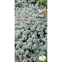 articul-A155307