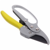articul-A163648