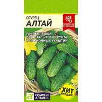 articul-A173319