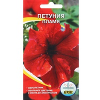 articul-A250653