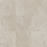 articul-A264248