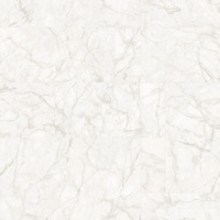 articul-A264580