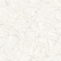 articul-A264583
