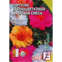 articul-A284179