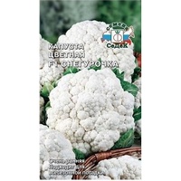 articul-A284193