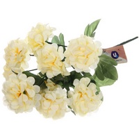 articul-A285912