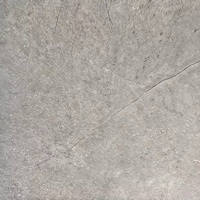 articul-A295701